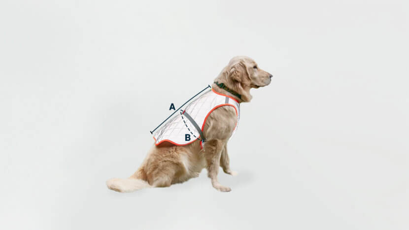Reflektierende Wendejacke für Hunde - Rover - gofluo