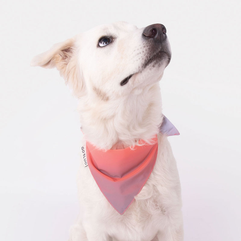 Bandana | Coral reflective