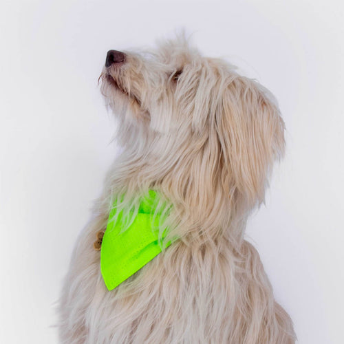 Bandana | Green reflective