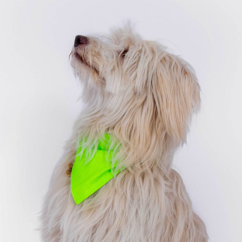 Bandana | Green reflective