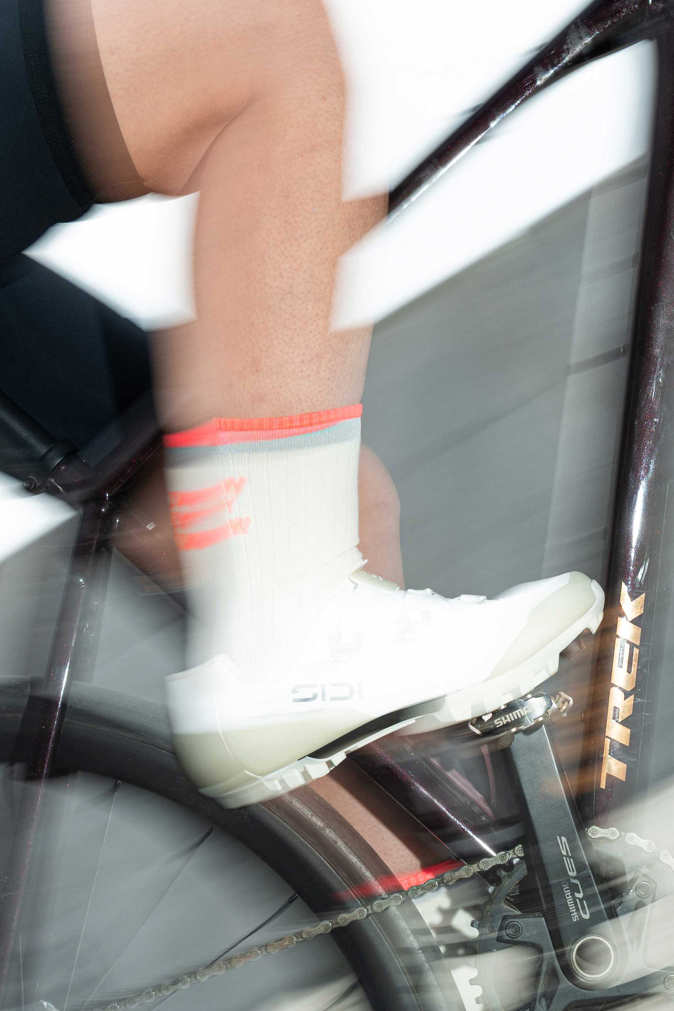 Bonnie | white coral