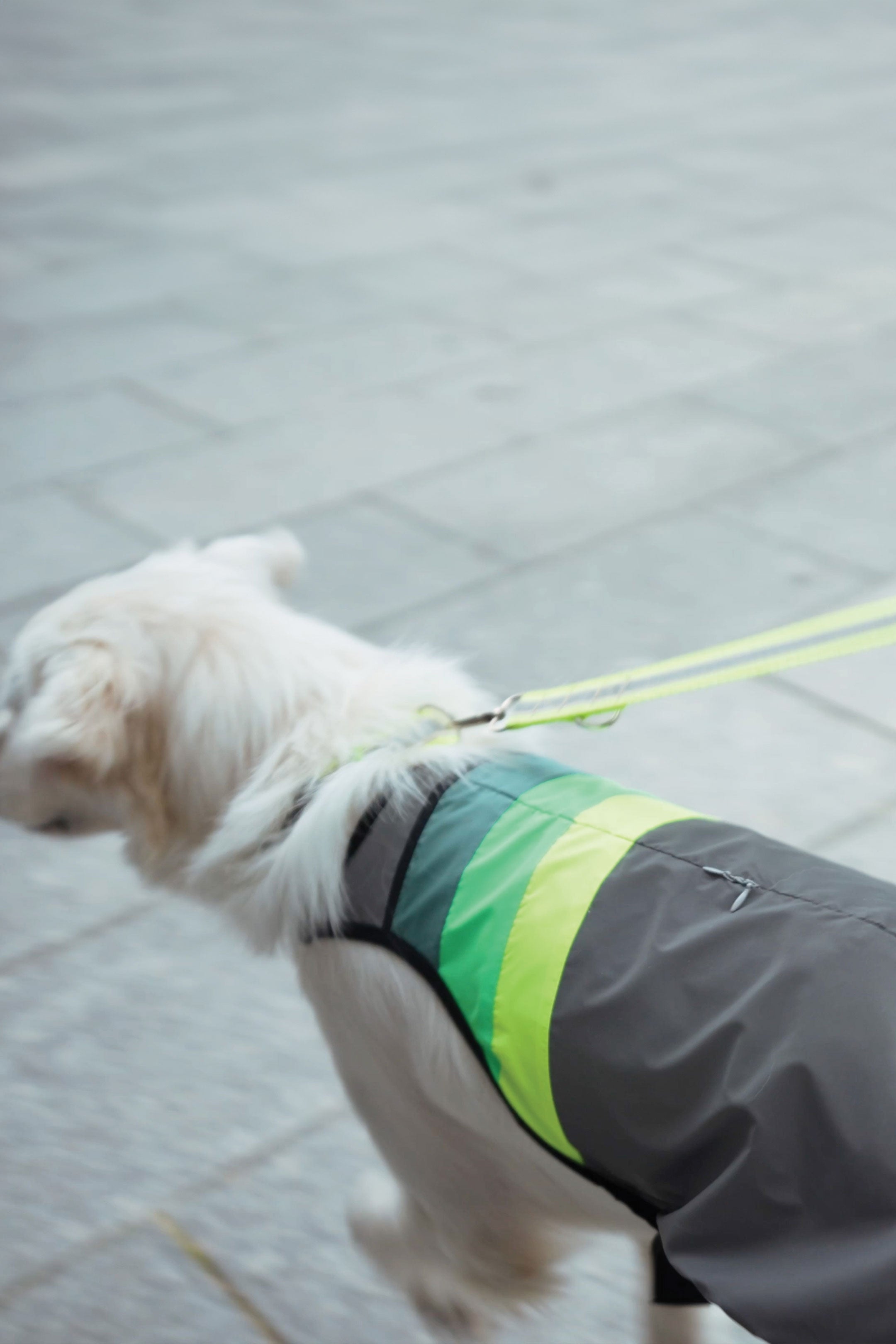 Veiligheidsvest Hond - Reflecterend Signaleringsvest - Goed zichtbaar in het donker Veiligheidsvest Hond - Reflecterend Signaleringsvest - Goed zichtbaar in het donker